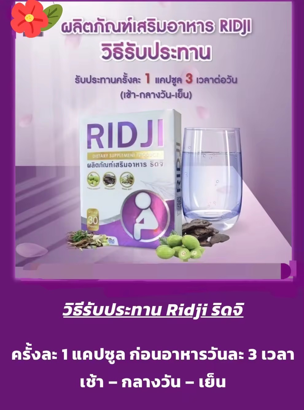 ริดซี่ ริดจิ Ridji ดูแลริดสีดวงทวาร Ridji เพื่อการขับถ่ายสะดวก(Hemorrhoids หรือ Piles)