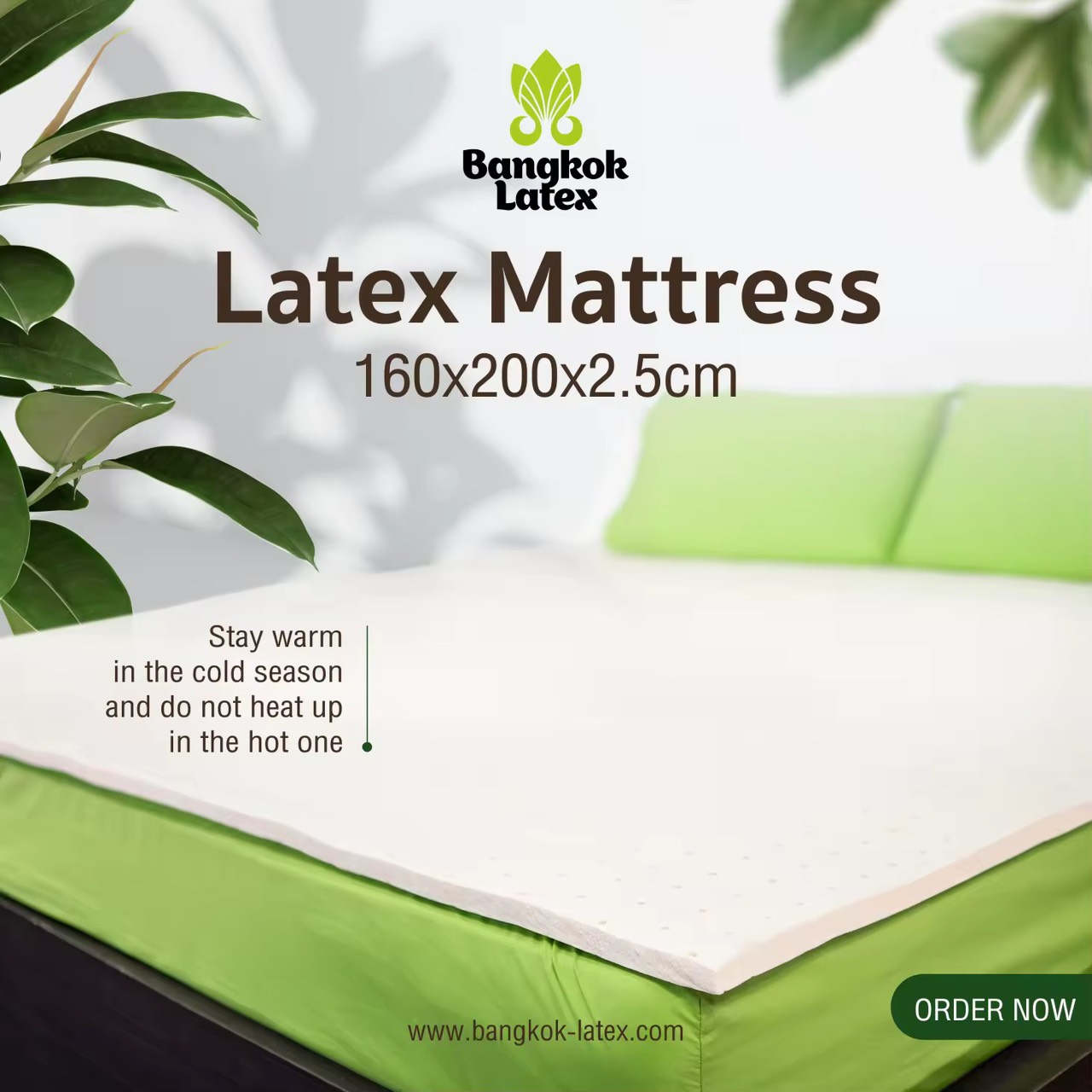 Bangkok Latex ท็อปเปอร์ ยางพาราแท้ - 5.5 ฟุต | 160x200 ซม. | แก้ปวดหลัง